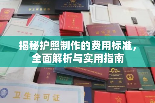 南市揭秘护照制作的费用标准，全面解析与实用指南